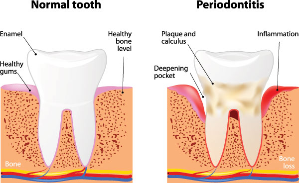 Cosmetic Dental Office 92084